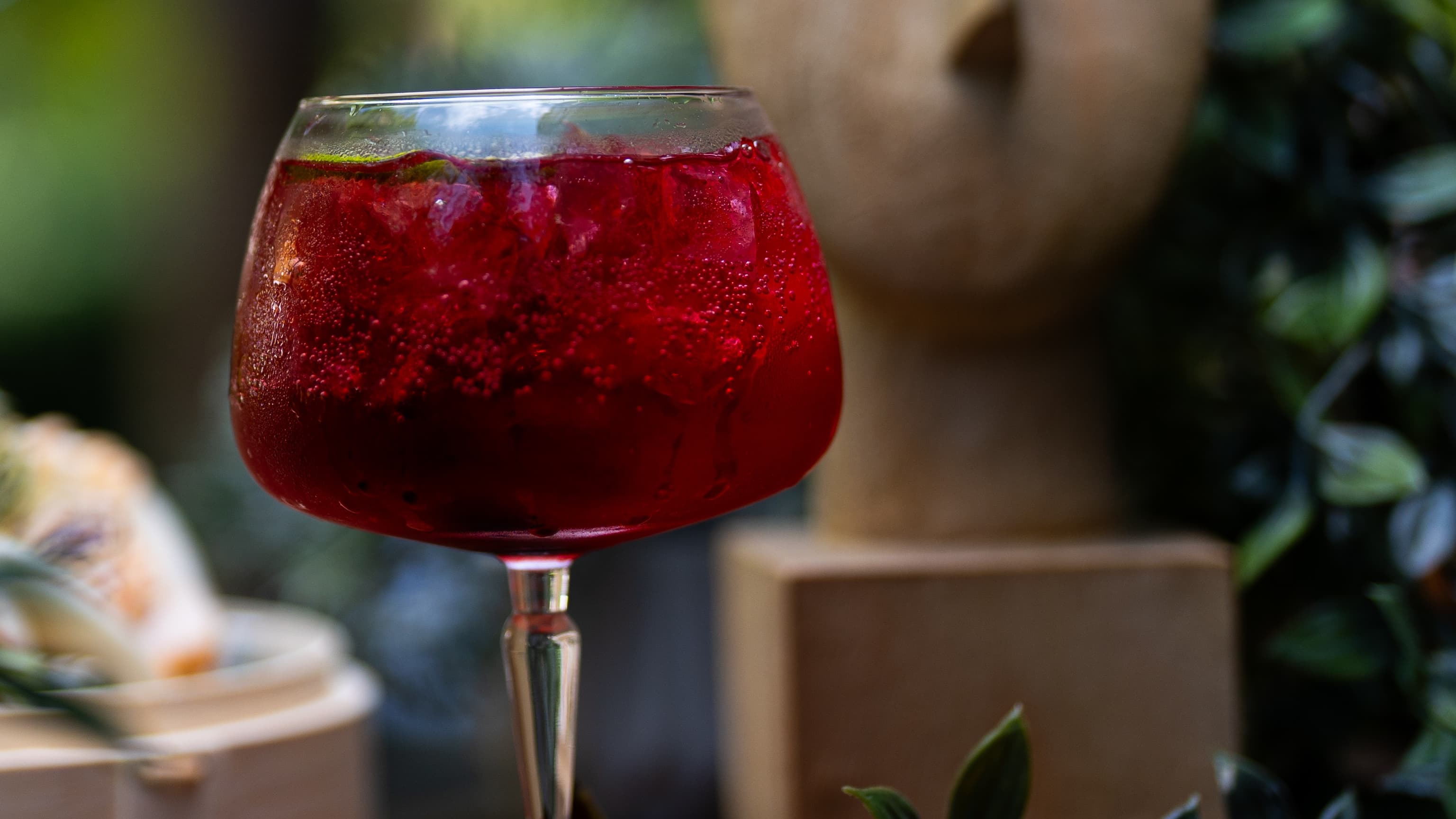 Джин Тоник и Шприц